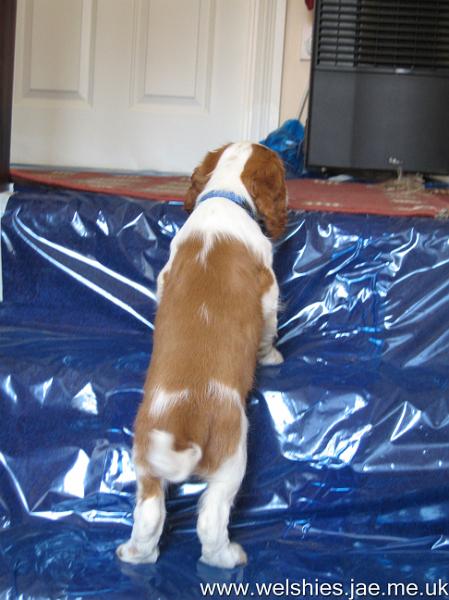 2009-04-07 09.JPG - And up higher....